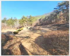  2023Ÿ��10004 �뱸 ������ ȿ�ɸ� ��� 34      ����(��1)���