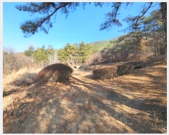  2023Ÿ��10004 �뱸 ������ ȿ�ɸ� ��� 34      ����(��1)���