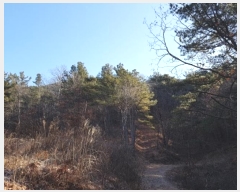  2023Ÿ��10004 �뱸 ������ ȿ�ɸ� ��� 34      ����(��1)���