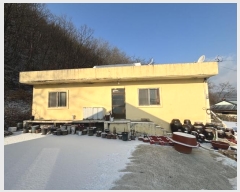  2023Ÿ11922 뱸  ΰ ȭ 1313      ð