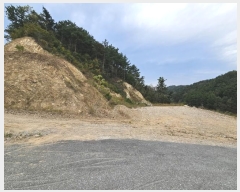  2023Ÿ956     10-3      (Ӿ)