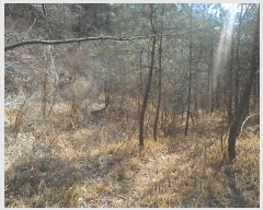  2023Ÿ��10182 ��� ���籺 �Ͽ��� ������ 578-2      ����(��1)���