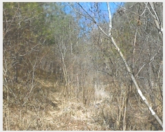  2023Ÿ��10182 ��� ���籺 �Ͽ��� ������ 578-2      ����(��1)���