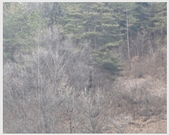  2023Ÿ��10182 ��� ���籺 �Ͽ��� ������ 578-2      ����(��1)���