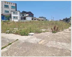  2023Ÿ��10984  �������