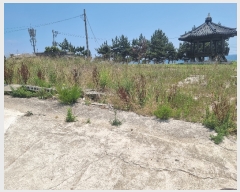  2023Ÿ��10984  �������