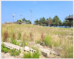  2023Ÿ��10984  �������