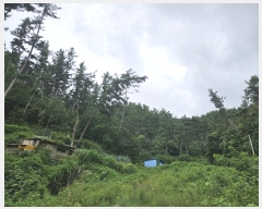  2023Ÿ��2009  �Ӿ߰��