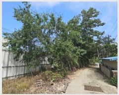  2023Ÿ��2009  �Ӿ߰��