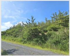  2023Ÿ��2009  �Ӿ߰��