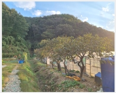  2023Ÿ��2009  �Ӿ߰��