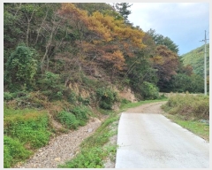  2023Ÿ��2009  �Ӿ߰��