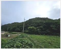  2023Ÿ��2009  �Ӿ߰��