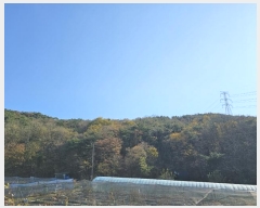  2023Ÿ��3859  �Ӿ߰��