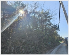  2023Ÿ��3859  �Ӿ߰��