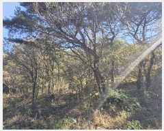  2023Ÿ��3859  �Ӿ߰��