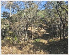  2023Ÿ��3859  �Ӿ߰��