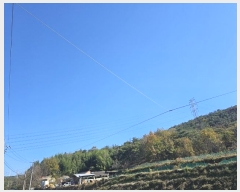  2023Ÿ��3859  �Ӿ߰��