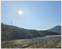  2023Ÿ��3859  �Ӿ߰��