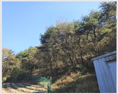  2023Ÿ��3859  �Ӿ߰��