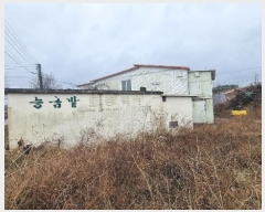  2023Ÿ36521  ׽  õ 踮 699-3     ,â