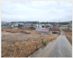  2023Ÿ36521  ׽  õ 踮 699-3     ,â