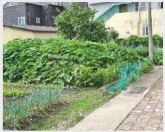  2023Ÿ��2955 ��� ���׽� �ϱ� �л굿 127-14      ����(����)���