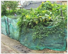  2023Ÿ��2955 ��� ���׽� �ϱ� �л굿 127-14      ����(����)���