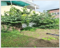  2023Ÿ��2955 ��� ���׽� �ϱ� �л굿 127-14      ����(����)���