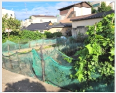  2023Ÿ��2955 ��� ���׽� �ϱ� �л굿 127-14      ����(����)���