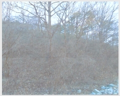  2023Ÿ��3873 ��� ���׽� ���� ���� �꼭�� ��187     ����(�Ӿ�)���