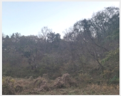  2023Ÿ��3873 ��� ���׽� ���� ���� �꼭�� ��187     ����(�Ӿ�)���