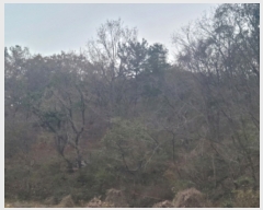  2023Ÿ��3873 ��� ���׽� ���� ���� �꼭�� ��187     ����(�Ӿ�)���