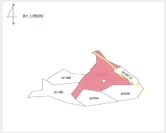  2023Ÿ��3873 ��� ���׽� ���� ���� �꼭�� ��187     ����(�Ӿ�)���