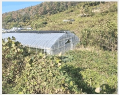  2023Ÿ3637  ׽  ظ ݱ 78     ()