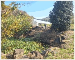  2023Ÿ��3637  �����