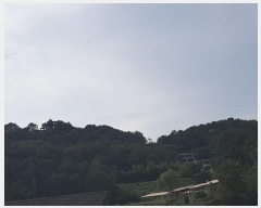  2023Ÿ3039  ֱ ϸ  183      (Ӿ)