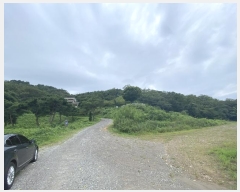  2023Ÿ3039  ֱ ϸ  183      (Ӿ)