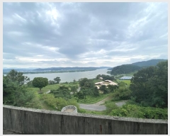  2023Ÿ3039  ֱ ϸ  183      (Ӿ)