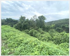  2023Ÿ3039  ֱ ϸ  183      (Ӿ)