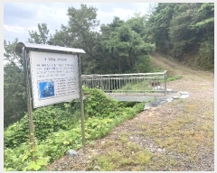  2023Ÿ3039  ֱ ϸ  183      (Ӿ)