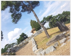  2023Ÿ3039  ֱ ϸ  183      (Ӿ)