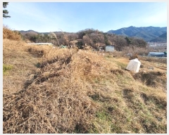  2023Ÿ��40977 �뱸 �޼��� ������ ���︮ ��185      ����(�Ӿ�)���