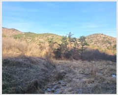  2023Ÿ��40977 �뱸 �޼��� ������ ���︮ ��185      ����(�Ӿ�)���