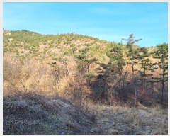  2023Ÿ��40977 �뱸 �޼��� ������ ���︮ ��185      ����(�Ӿ�)���