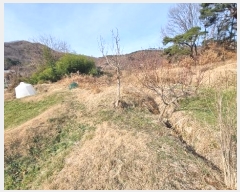  2023Ÿ��40977 �뱸 �޼��� ������ ���︮ ��185      ����(�Ӿ�)���