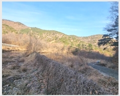  2023Ÿ��40977 �뱸 �޼��� ������ ���︮ ��185      ����(�Ӿ�)���