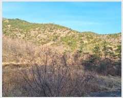  2023Ÿ��40977 �뱸 �޼��� ������ ���︮ ��185      ����(�Ӿ�)���