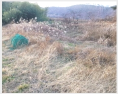  2023Ÿ��40977 �뱸 �޼��� ������ ���︮ ��185      ����(�Ӿ�)���