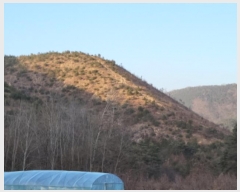  2023Ÿ��40977 �뱸 �޼��� ������ ���︮ ��185      ����(�Ӿ�)���